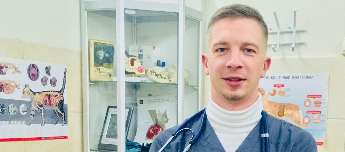 Чеширский кот ветеринарная клиника