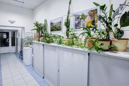 Медицинский центр Финист, с рейтингом 3.8 - находится по адресу Москва, улица Гамалеи, 19, корп. 1, стр. 4 