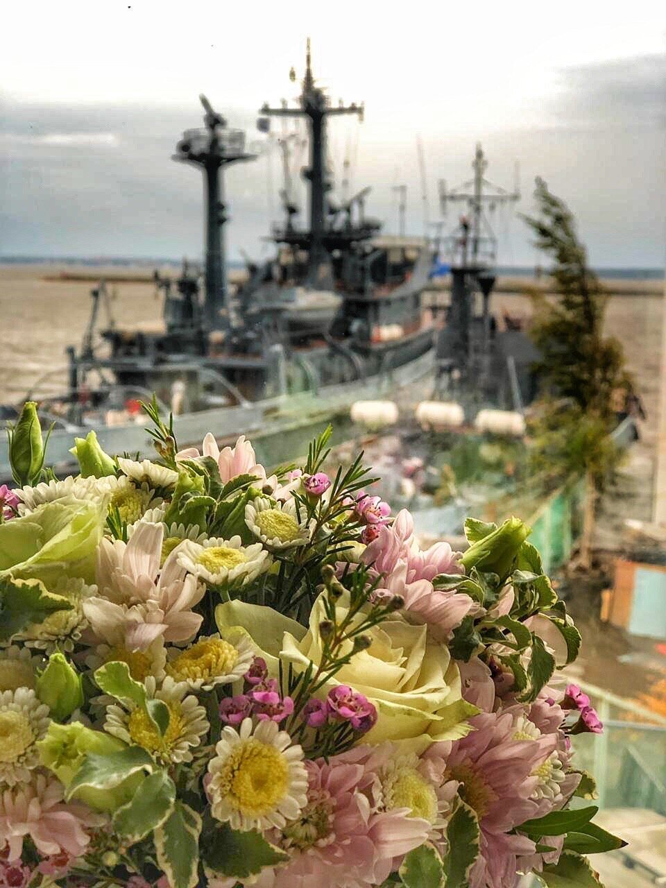 кафе в кронштадте