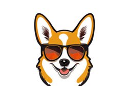 Магазин зоотоваров и аквариумистики КоргиДэй, с рейтингом 5 - находится по адресу Калининград, Московский район, Понарт, 236011, Интернациональная улица, 30 