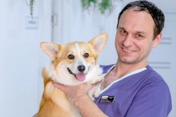 Ветеринарный центр Зооленд, с рейтингом 4.3 - находится по адресу Краснодар, Оренбургская улица, 1/1 