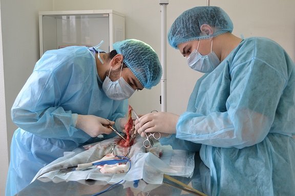 фотография работы Ветеринарной клиники ЗооКлиник24 (ZooClinic24) в Врачебном проезде