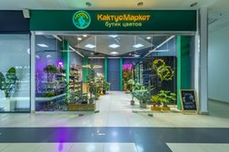 Бутик цветов КактусМаркет, с рейтингом 4.9 - находится по адресу Московская область, Дмитров, Профессиональная улица, 7 