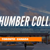 фотография Study4you