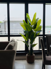 Ландшафтный дизайнер, благоустройство территории Наталья Викторовна Савватеева