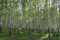 Каменские холмы, с рейтингом 4.5 - находится по адресу Нижний Новгород, Алексеевская улица, 10 