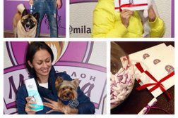 Зоосалон Милана, с рейтингом 3.8 - находится по адресу Москва, улица Лобачевского, 98 