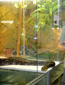 Фадеев Сергей Витальеаич