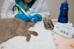 Ветеринарная клиника Весниной Зинаиды Юрьевны, с рейтингом 3.9 - находится по адресу Краснодар, Душистая улица, 50 