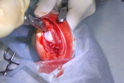 Ветеринарная клиника Гармония, с рейтингом 2.6 - находится по адресу Челябинск, улица Воровского, 61Б 