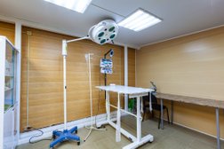 Ветеринарная клиника ВереяВет, с рейтингом 5 - находится по адресу Московская область, Наро-Фоминский городской округ, Верея, Ленинская улица, 49 