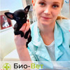 фото от пользователя Екатерина в отзыве о ветеринарной клинике Био-Вет Люберцы