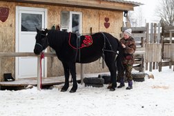 Конный клуб Royal Horse, с рейтингом 4.3 - находится по адресу Костромская область, ж/д ст. Каримово, станция Каримово, 38/1 