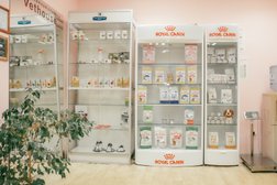 Ветеринарная клиника ВетХаус, с рейтингом 4.9 - находится по адресу Великий Новгород, Привокзальный район, Воскресенский бульвар, 3А 