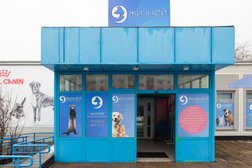 Ветеринарная клиника 9 жизней, с рейтингом 4.8 - находится по адресу Великий Новгород, Большая Московская, 67Б 