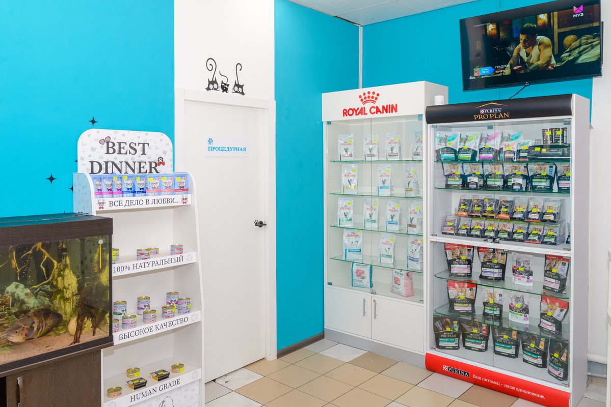 Катукова 27а липецк. Четыре лапы красногорск. Четыре лапы. Улица ленина 55 красногорск. Лапка ул катукова 30а.