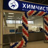 фотография Пингвин