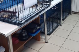 Ветеринарный центр Кот Матроскин, с рейтингом 4.6 - находится по адресу Нижний Новгород, проспект Октября, 4а 