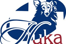 Ветеринарная клиника Ника, с рейтингом 3.3 - находится по адресу Кемеровская область — Кузбасс, Кемерово, Ворошилова, 1 