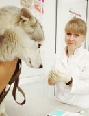 Беляева Дарья Андреевна