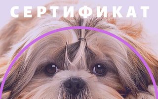 сертификат/документ ветеринара Ольги Туевой