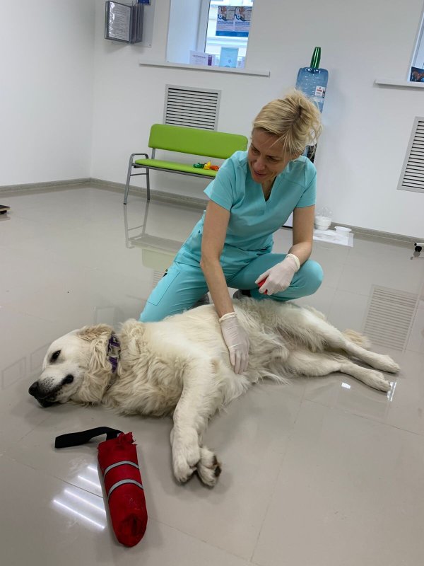 фотография Ветеринарная клиника диагностики и лечения животных Vetmedicum