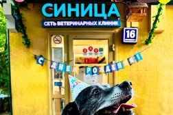 Ветеринарная клиника на улице Маршала Неделина, 16 стр 5, с рейтингом 4.5 - находится по адресу Москва, улица Маршала Неделина, 16 ст5 