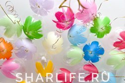 Студия декора и воздушных шаров ШарЛайф, с рейтингом 4.8 - находится по адресу Московская область, Балашиха, микрорайон Железнодорожный, улица Поликахина, 3 