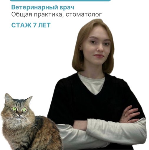 Дарья Алексеевна Гуменная
