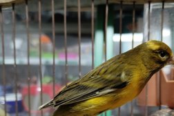 Зоомагазин Мистер Хвост, с рейтингом 4.8 - находится по адресу Краснодарский край, Абинск, улица Советов, 43 лит1 