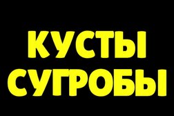Компания по прокату, продаже и ремонту спортивного инвентаря Кусты Сугробы, с рейтингом 3.6 - находится по адресу Удмуртская Республика, Ижевск, Клубная улица, 52 