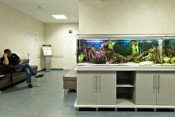 Клинико-диагностический центр Здоровье, с рейтингом 3.5 - находится по адресу Ростов-на-Дону, Доломановский переулок, 70/3 