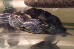 Детская парикмахерская PersonaBaby, с рейтингом 4.6 - находится по адресу Самара, проспект Карла Маркса, 128 