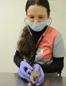 Годовых Юлия Игоревна