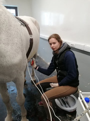 Ветеринарный врач УЗИ, ветеринарный врач-терапевт Дарья Александровна Булавина