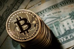 BitcoinVip
