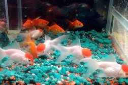 Зоомаркет Чапа&Джонни, с рейтингом 5 - находится по адресу Рязань, Шереметьевская улица, 15 