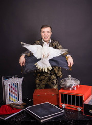 Артемий Мирошников Аниматор, ведущий/тамада Артемий Мирошников