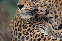 Глэмпинг Усадьба Заповедное, с рейтингом 5 - находится по адресу Московская область, городской округ Шаховская, деревня Харитоново, поселение Усадьба Заповедное 