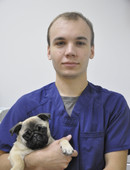 Соколов Владислав Сергеевич