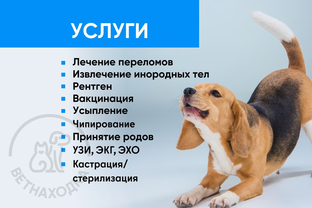 фотография Ветеринарной службы Ветнаходка в Зеленограде