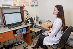 Медицинский центр Сиена-мед, с рейтингом 4.2 - находится по адресу Воронеж, улица 60 Армии, 22а 