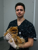 Кобзев Никита Геннадьевич