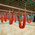 фотография Rockout Gym