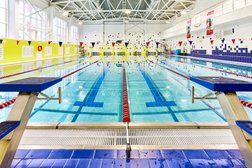 Школа плавания in Swim, с рейтингом 4.9 - находится по адресу Санкт-Петербург, Пискарёвский проспект, 47с11 