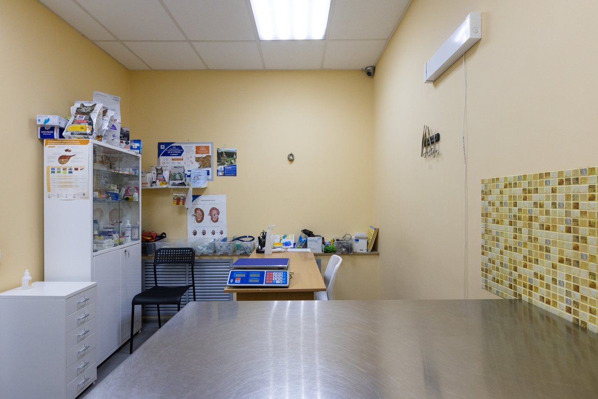 диплодок ветеринарная клиника нижний новгород. ветлечебница ул гагарина. добрый доктор челябинск. ветеринарная клиника домодедово курыжова. ветеринарный центр аврора, липецк.