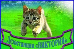 Виктория