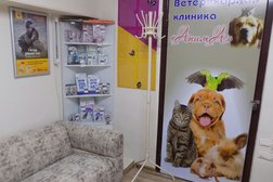 Ветеринарная клиника Анима, с рейтингом 4.2 - находится по адресу Омск, улица Перелёта, 22 к1 