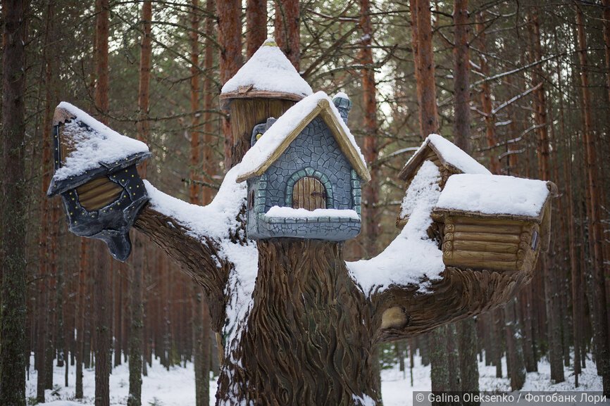 Тропа сказок на вотчине Деда Мороза в Великом Устюге