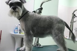 Груминг-салон AlfaDogs, с рейтингом 2.7 - находится по адресу Пенза, Свердлова, 4 